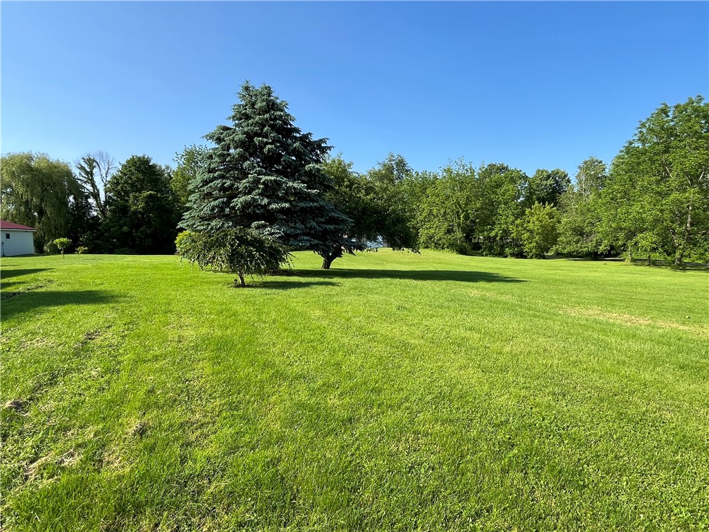 6796 E Port Wolcott, NY 14590 - Photo 5 of 50 Check is this gorgeous lawn