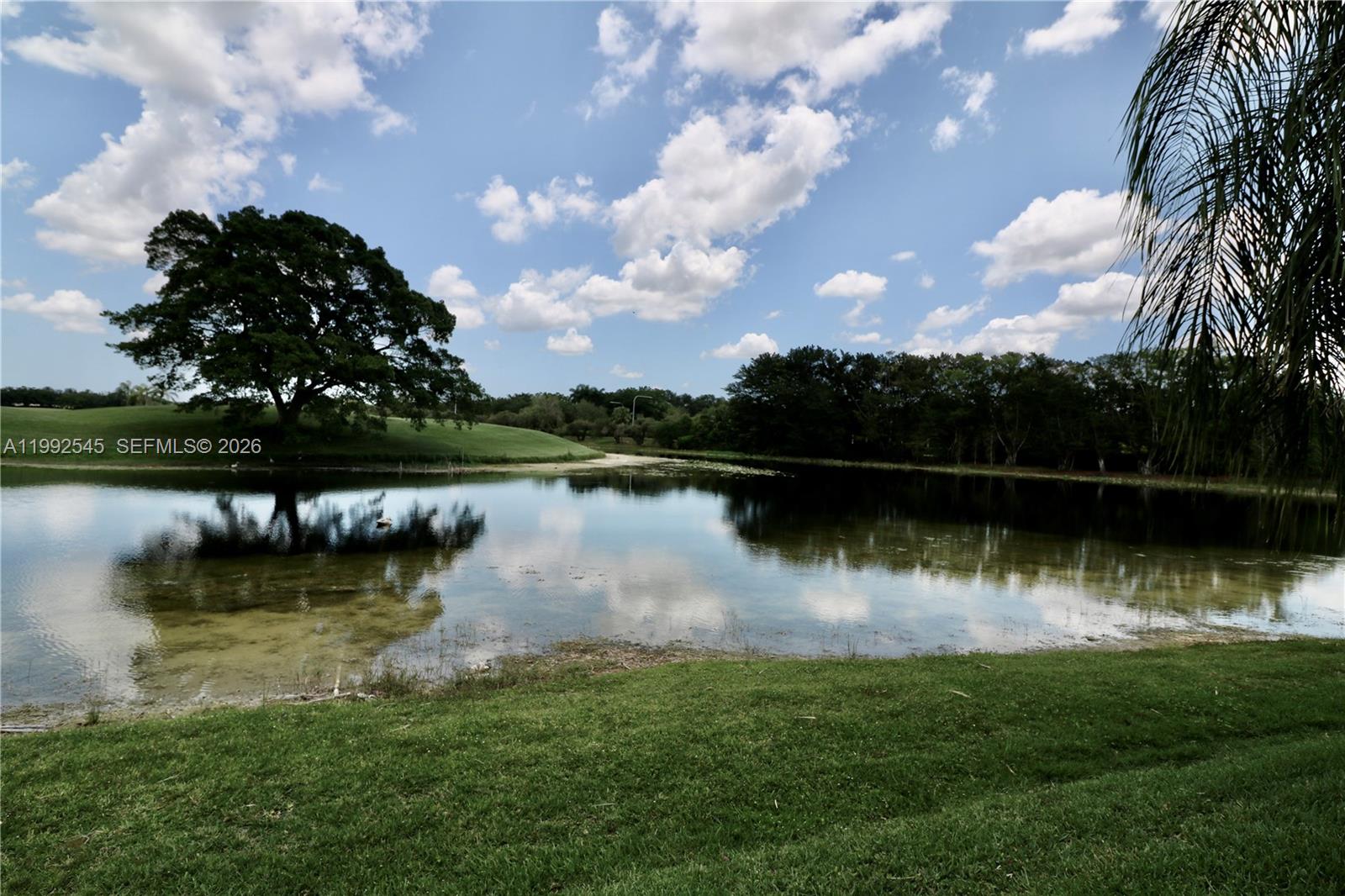2686 Palmer Place Weston, FL 33332 - Photo 14 of 42 Lake view