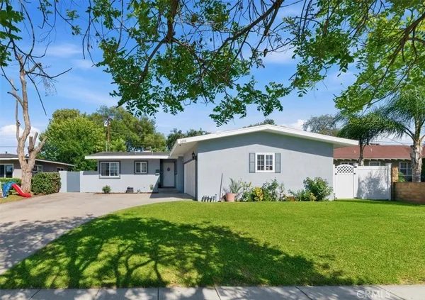 a view of a yard in front of a house with plants and large tree