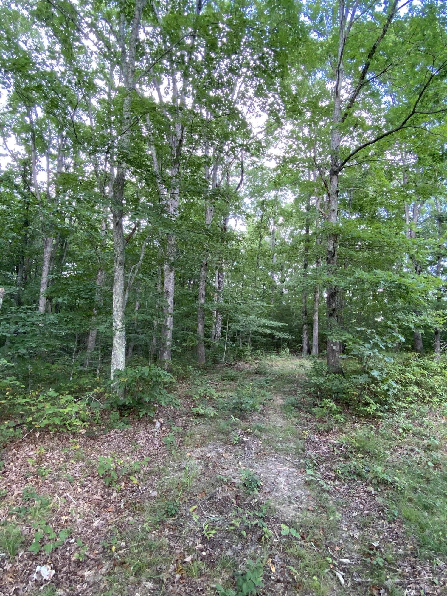 678 Griffith Road, Unit 1 Pikeville, TN 37367 - Photo 13 of 21 IMG_3788