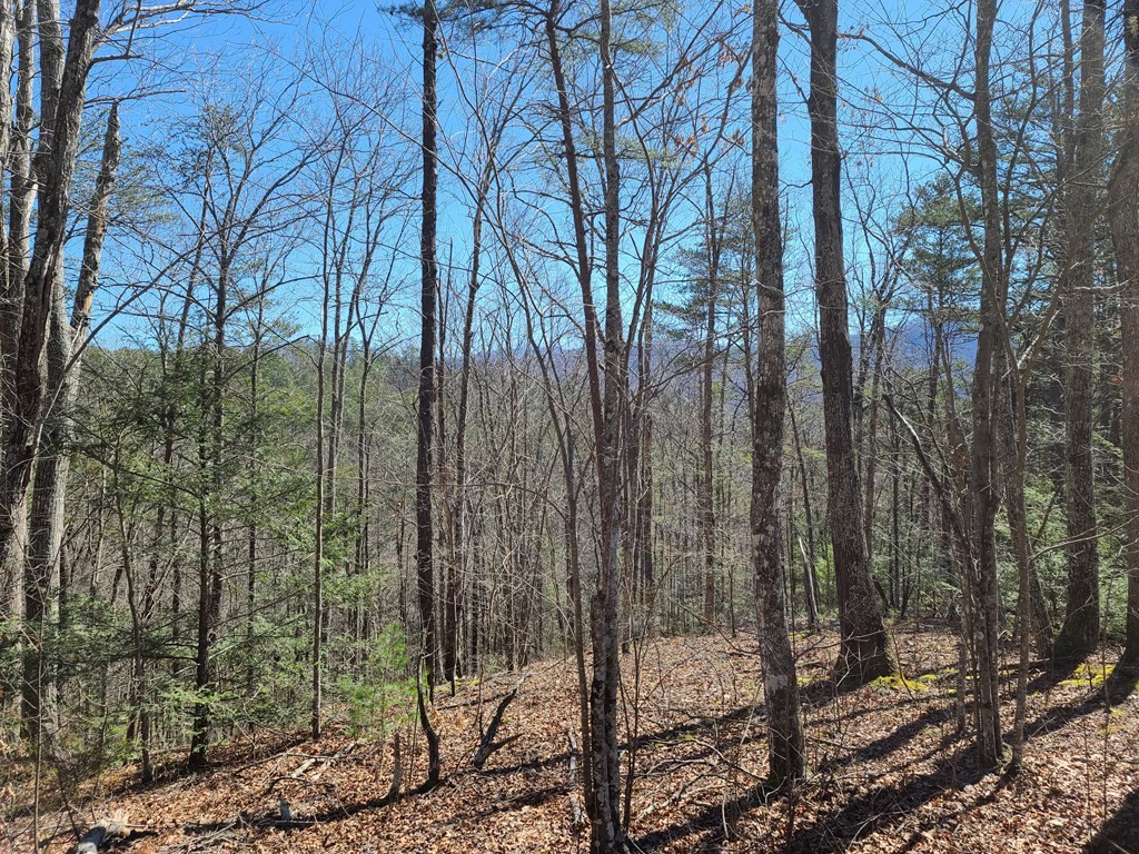 3002 Laurel Lick Road Sevierville, TN 37862 - Photo 24 of 36