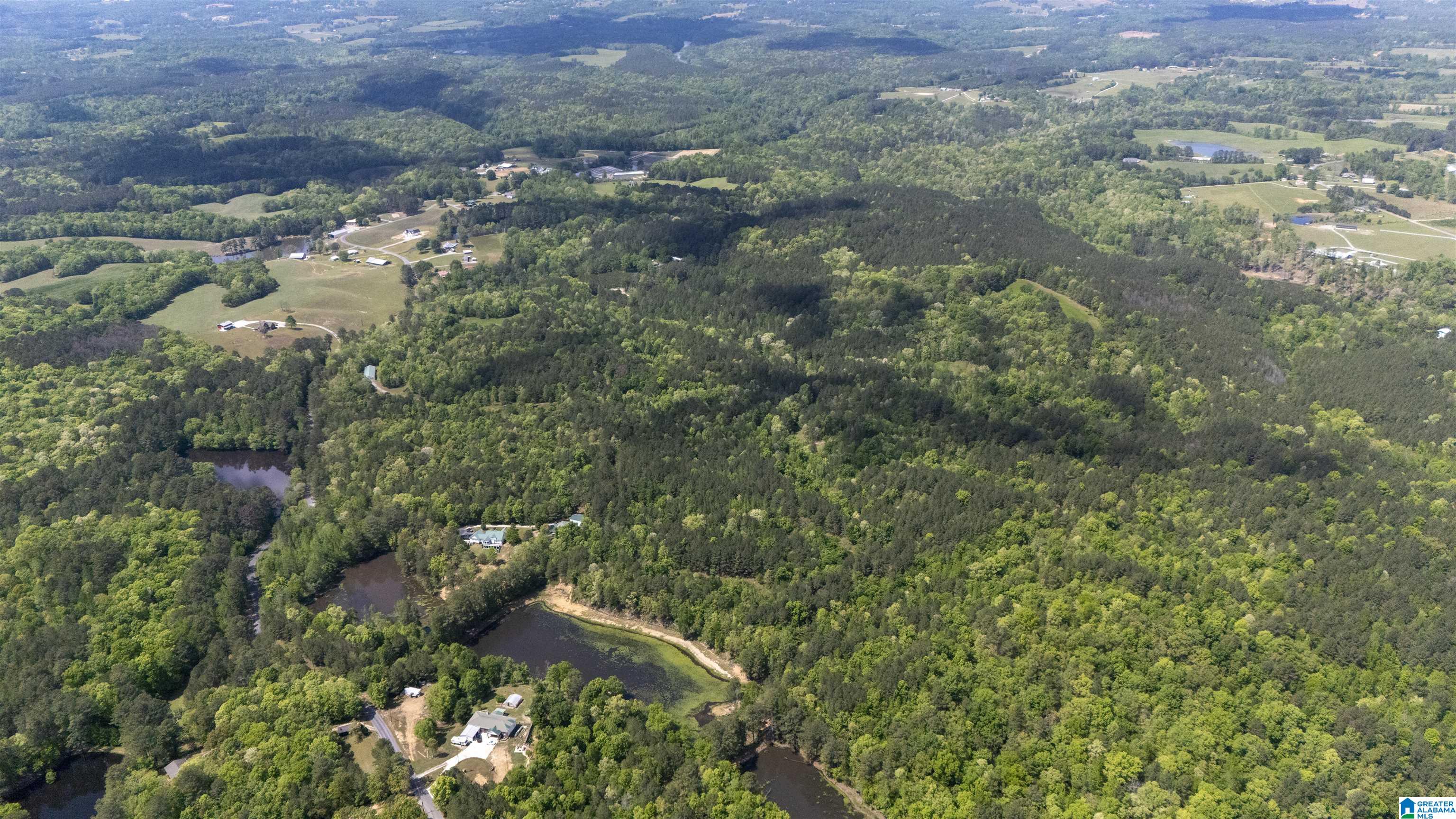 2121 Center Hill Road Trafford, AL 35172 - Photo 92 of 100