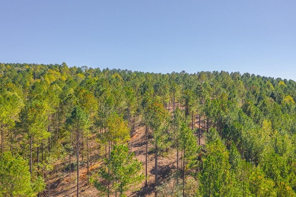 4041 Crow Road Northeast Dalton, GA 30721 - Photo 3 of 17 Gallery Image 3