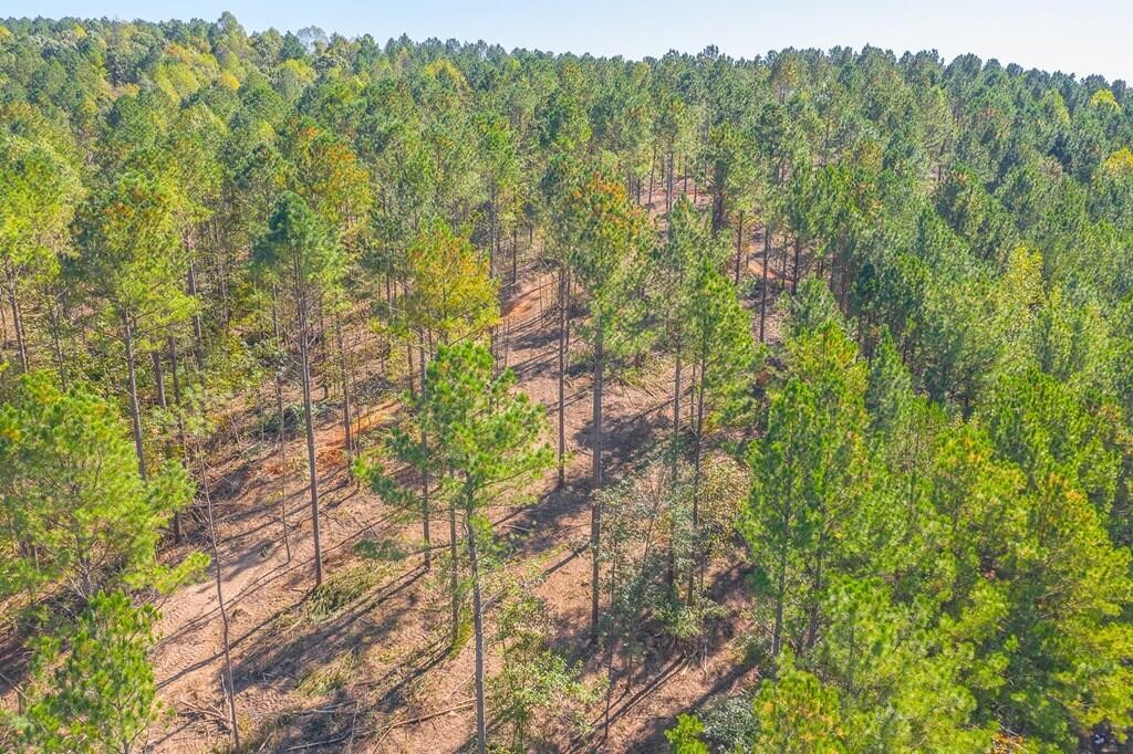 4041 Crow Road Northeast Dalton, GA 30721 - Photo 4 of 17 Gallery Image 4