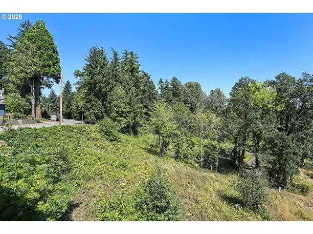 a view of a yard with a tree