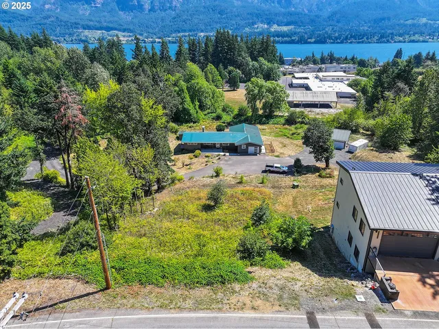 a view of a garden with plants and a bench under an umbrella