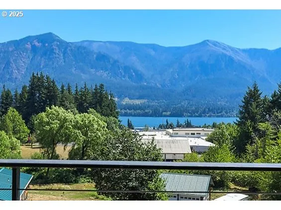 a view of a back yard