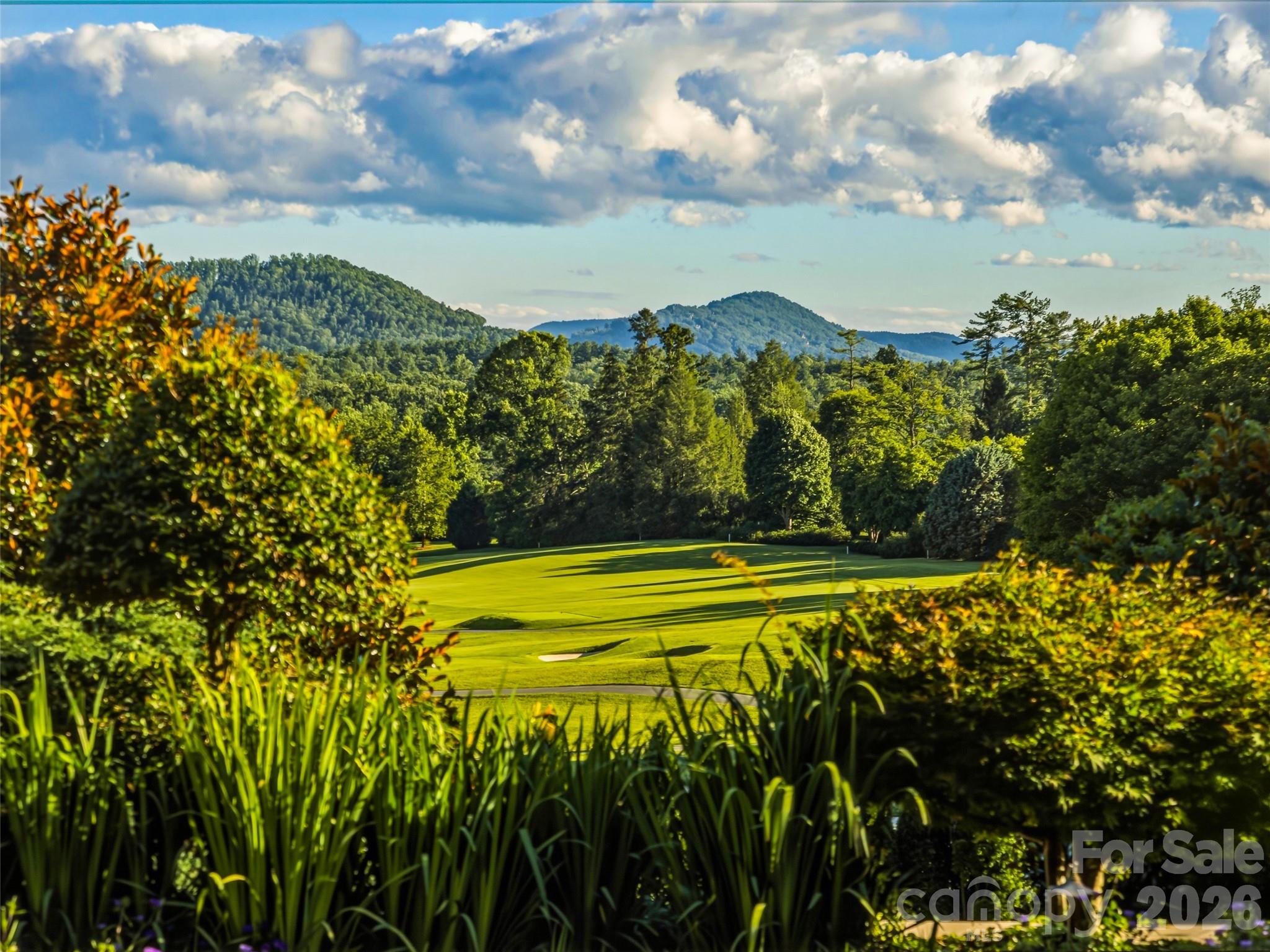 7 Stuyvesant Road Biltmore Forest, NC 28803 - Photo 18 of 48