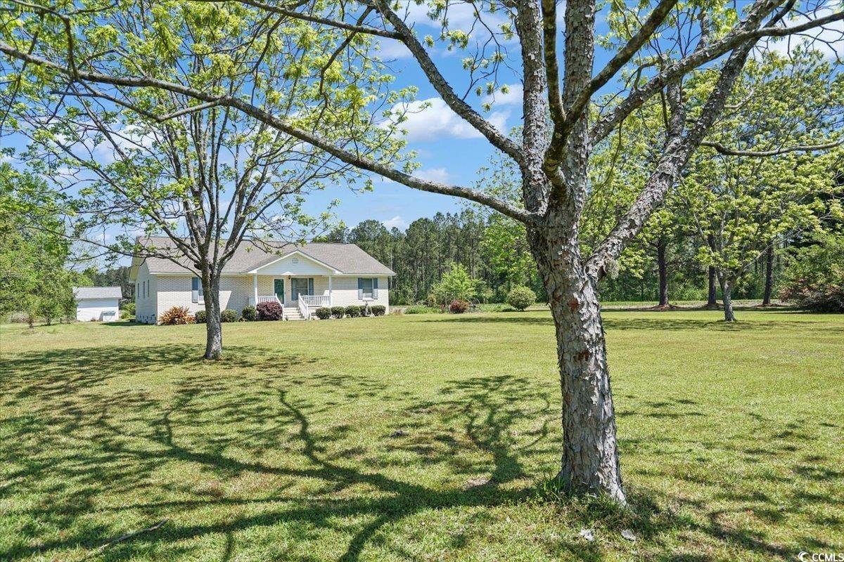 4684 Bluff Road Mullins, SC 29574 - Photo 8 of 35