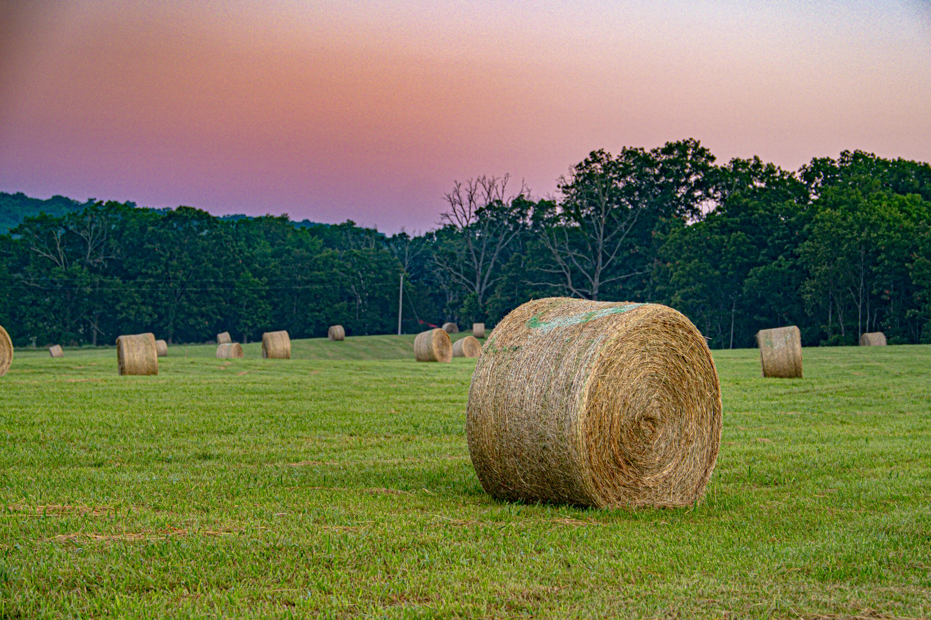 444 Rural Route 3, Unit O527 Ava, MO 65608 - Photo 80 of 89 AVA-FARM-DUSTIN-LEWIS-MLS-116