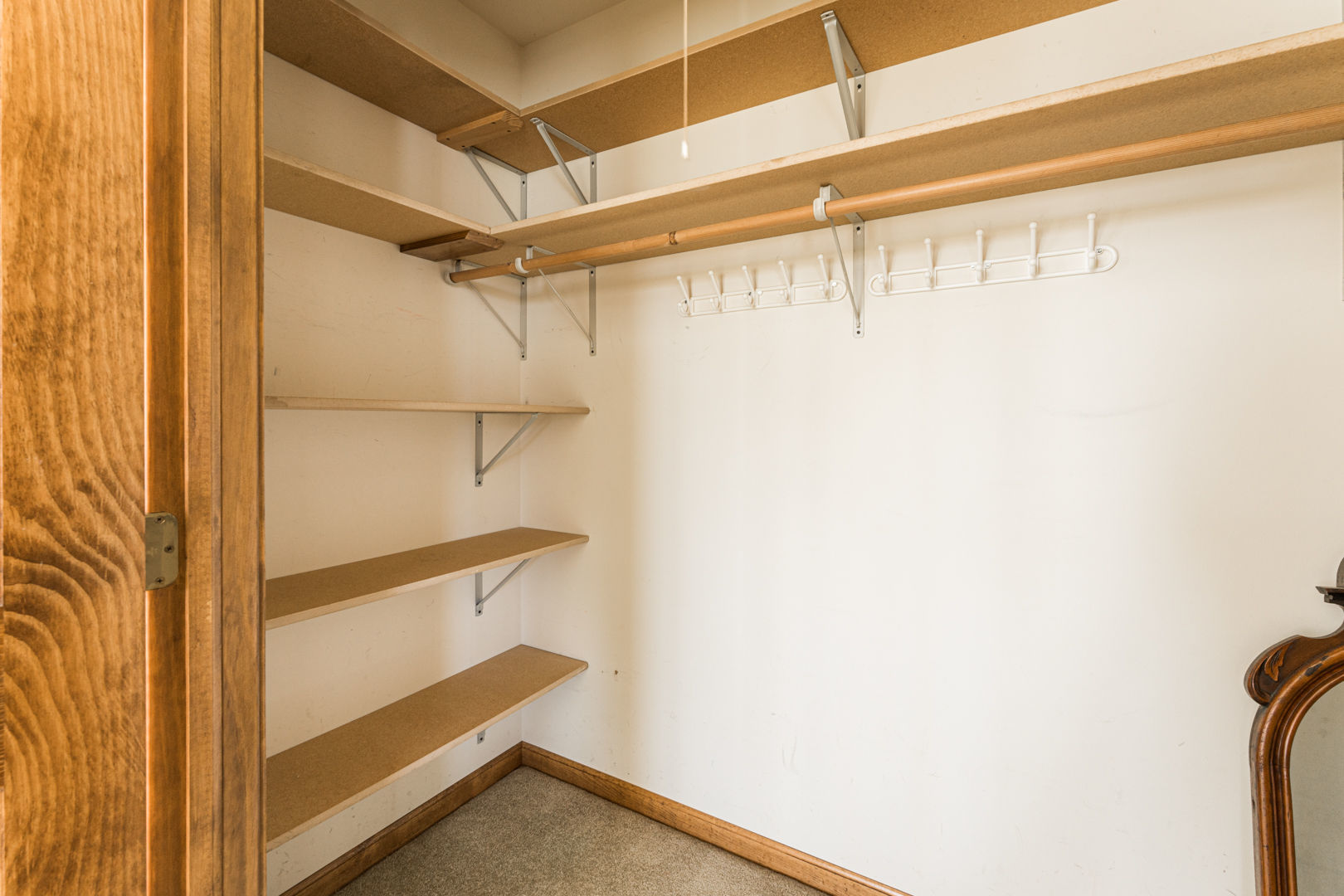49W170 Lasher Road Big Rock, IL 60511 - Photo 17 of 33 a view of walk in closet with empty racks