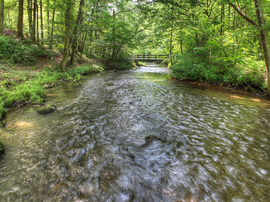 4545 Gates Chapel Road Ellijay, GA 30540 - Photo 55 of 63 Gallery Image 55