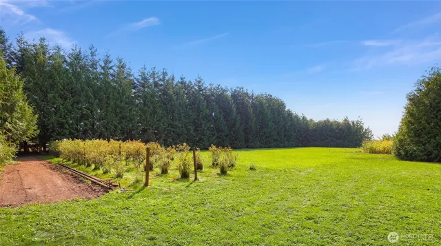 a view of a road with trees in the background