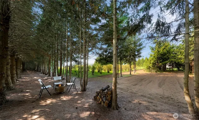 a view of a grassy field with trees in the background