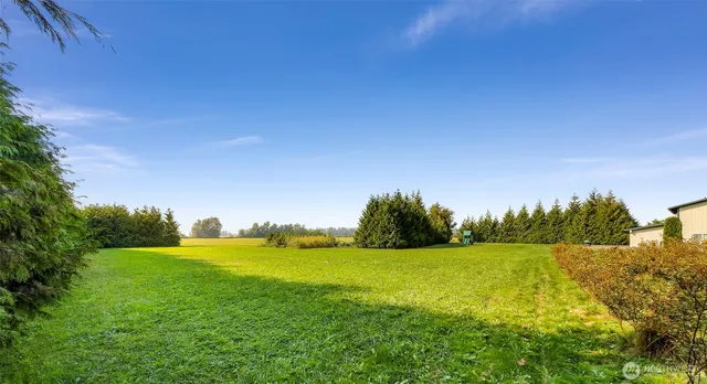 a view of an ocean from a yard