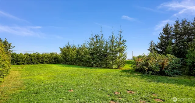 a view of a garden with a building in the background