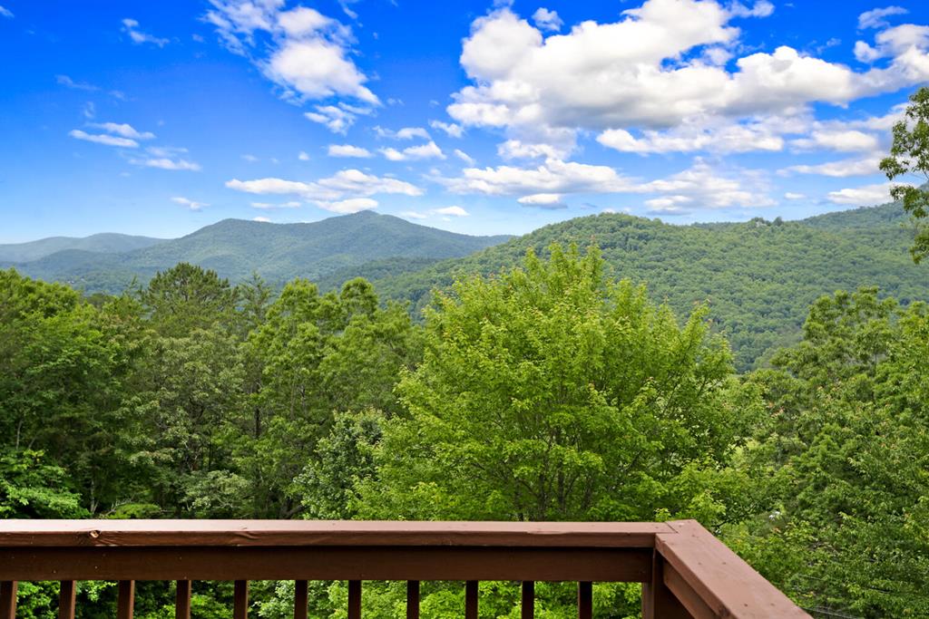 2360 The Ridges Hiawassee, GA 30546 - Photo 47 of 47 Gallery Image 47
