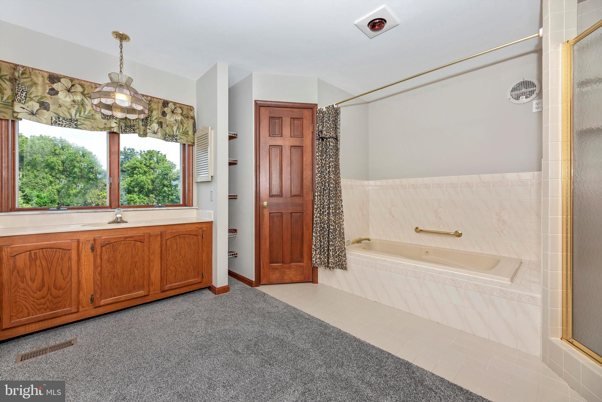 10760 Dublin Road Walkersville, MD 21793 - Photo 24 of 102 MBA with jetted tub and separate shower
