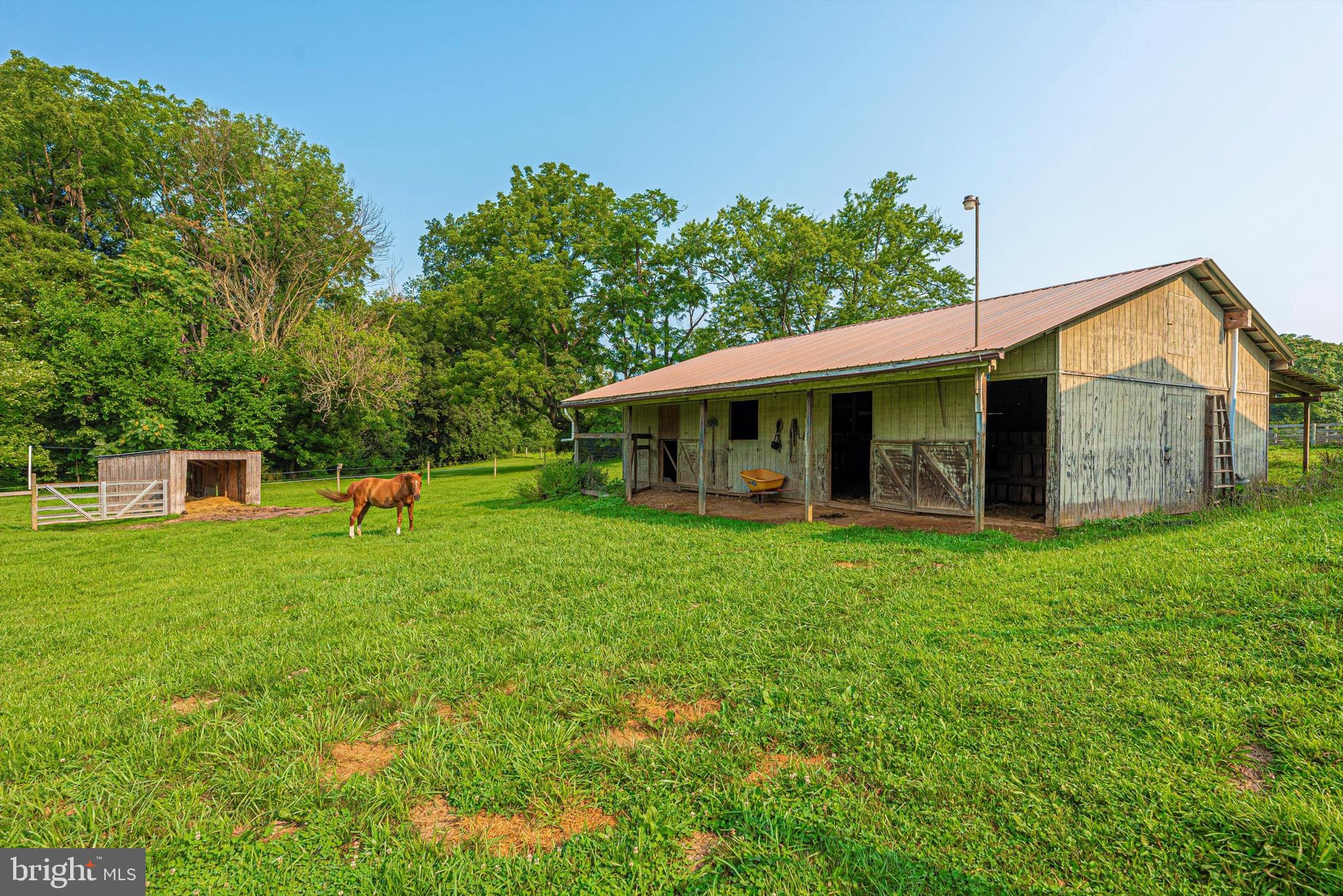 10760 Dublin Road Walkersville, MD 21793 - Photo 66 of 102 Bring the horses