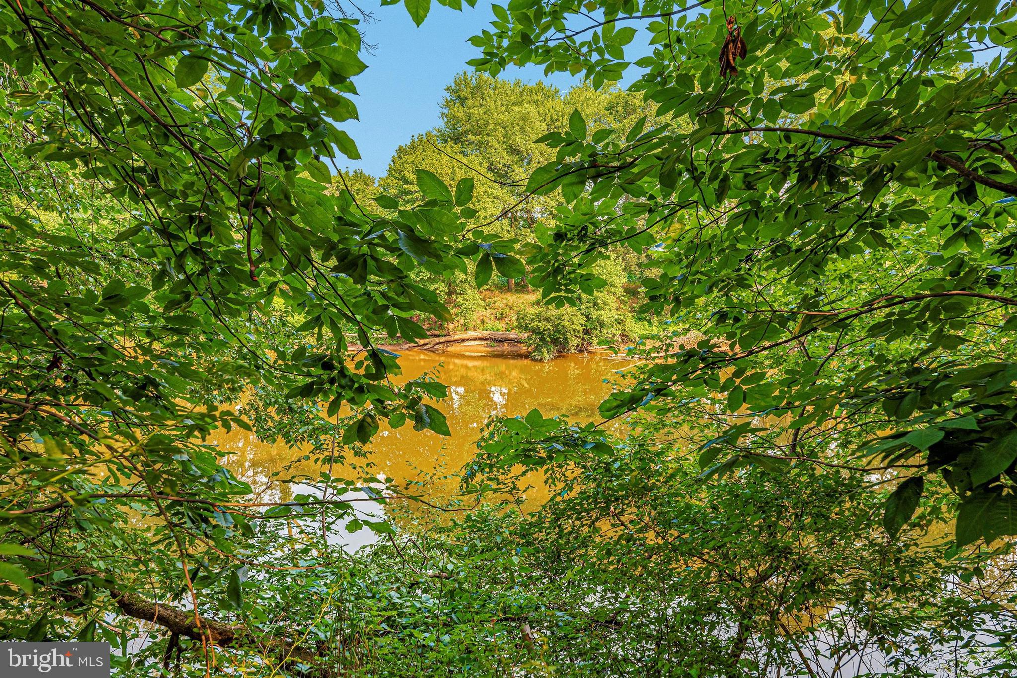 10760 Dublin Road Walkersville, MD 21793 - Photo 70 of 102 Monocacy River