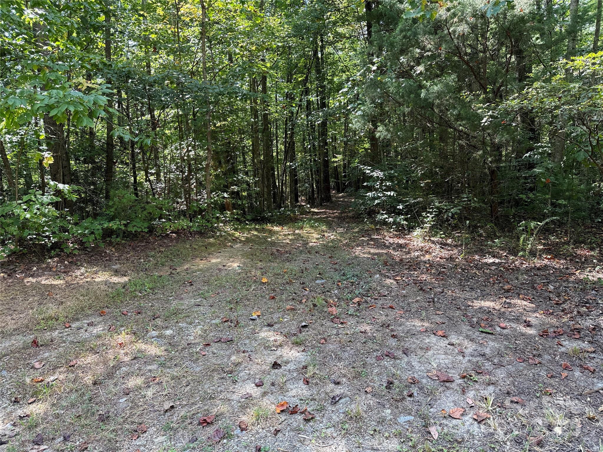 2750 Reedy Branch Road Purlear, NC 28665 - Photo 1 of 7