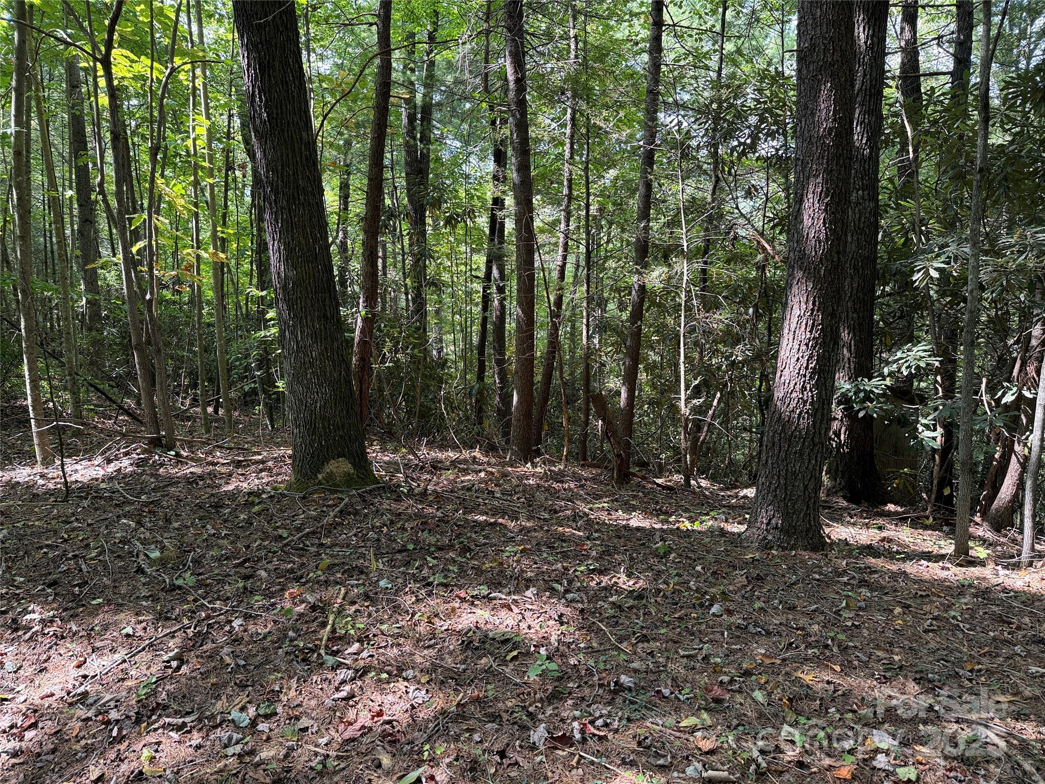 2750 Reedy Branch Road Purlear, NC 28665 - Photo 3 of 7