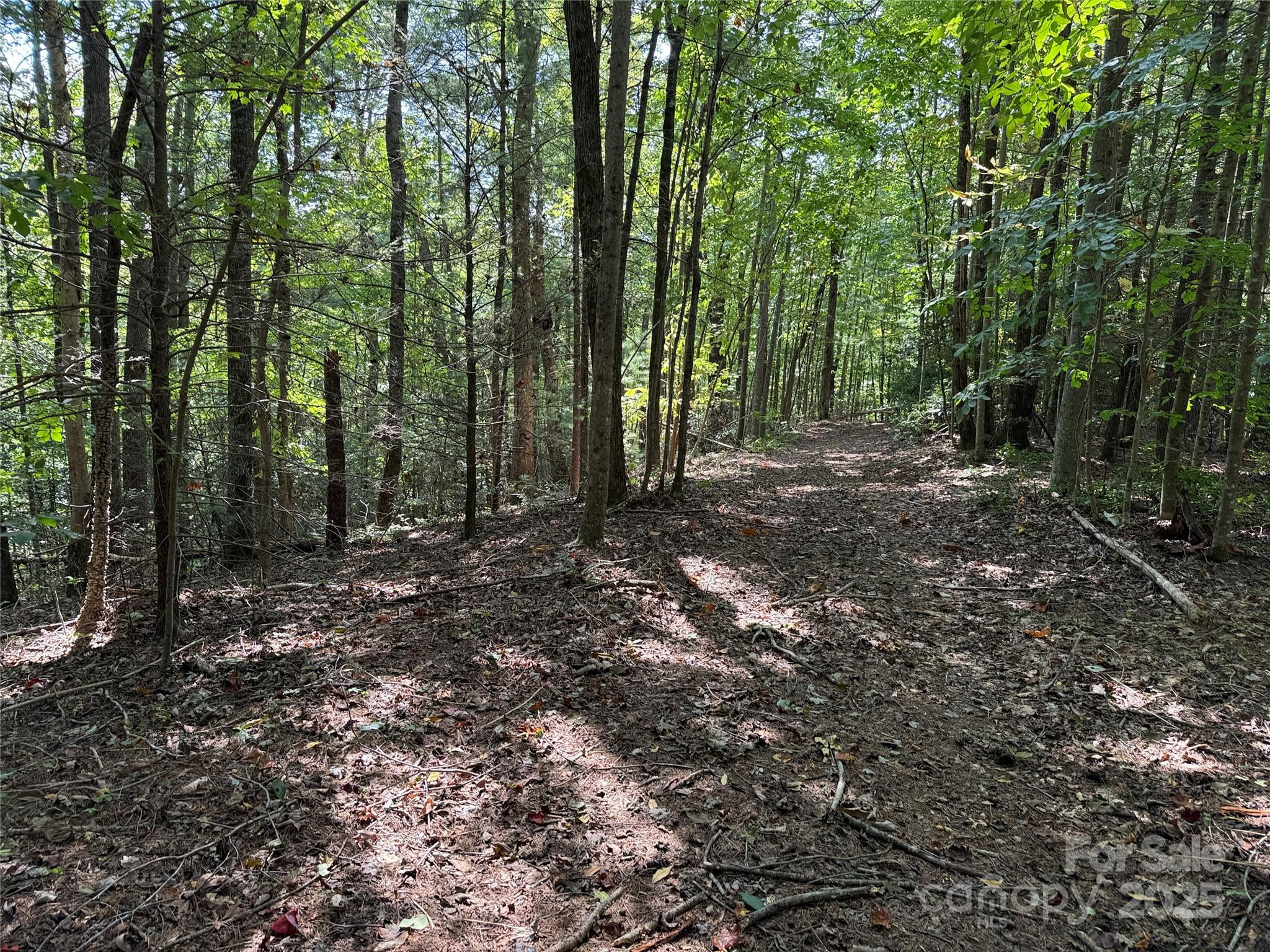 2750 Reedy Branch Road Purlear, NC 28665 - Photo 5 of 7
