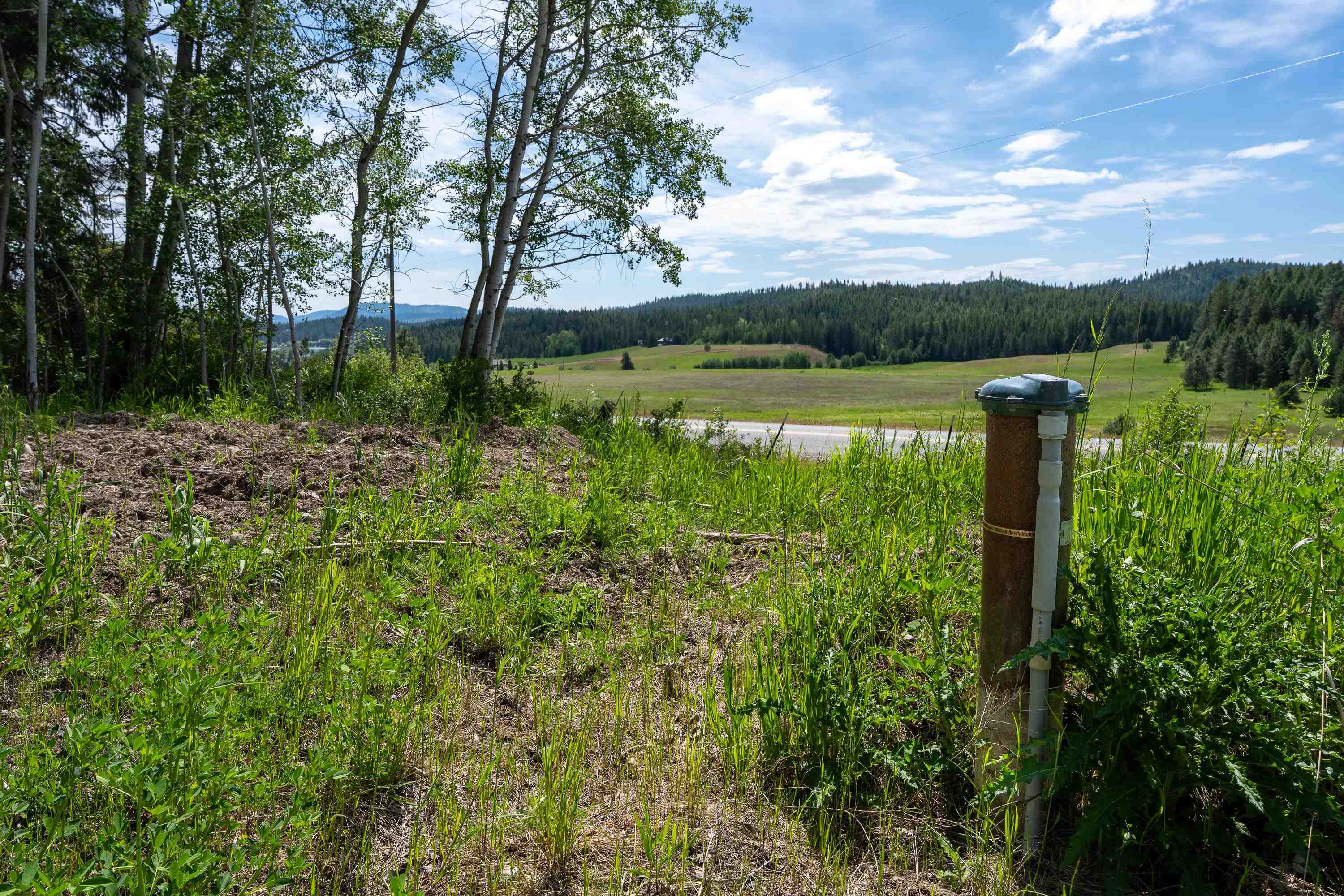 3474 D Waitts Lake Road Valley, WA 99181 - Photo 19 of 45
