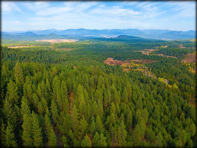 4761 B Luther Road Springdale, WA 99173 - Photo 19 of 20