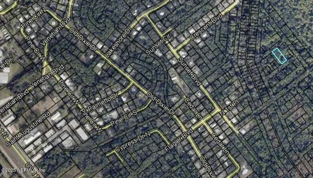 a close up of a shower curtain