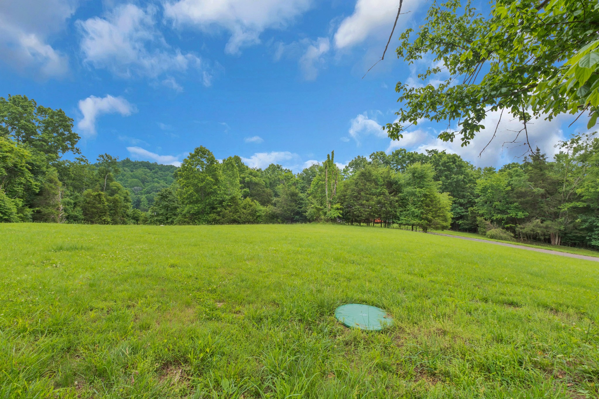 593 Rogues Fork Road Bethpage, TN 37022 - Photo 31 of 35