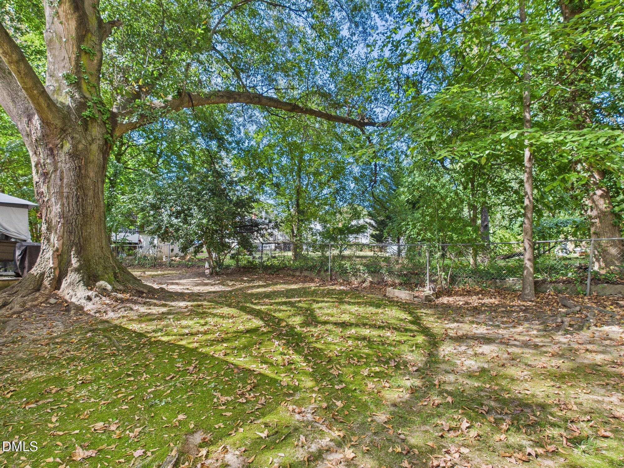 109 Blanchard Street Raleigh, NC 27603 - Photo 40 of 57 a view of a yard with a tree