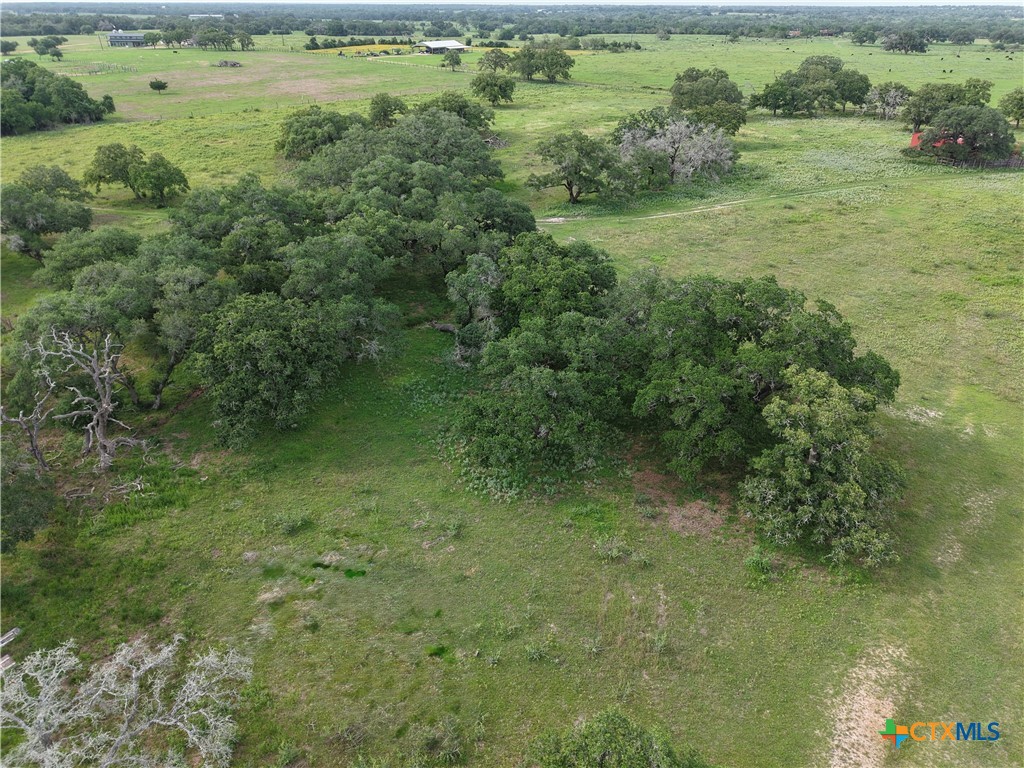 209 Rice Road Yoakum, TX 77995 - Photo 10 of 40
