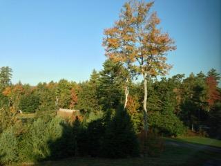 76 Ridlon Road Berwick, ME 03901 - Photo 35 of 35 View