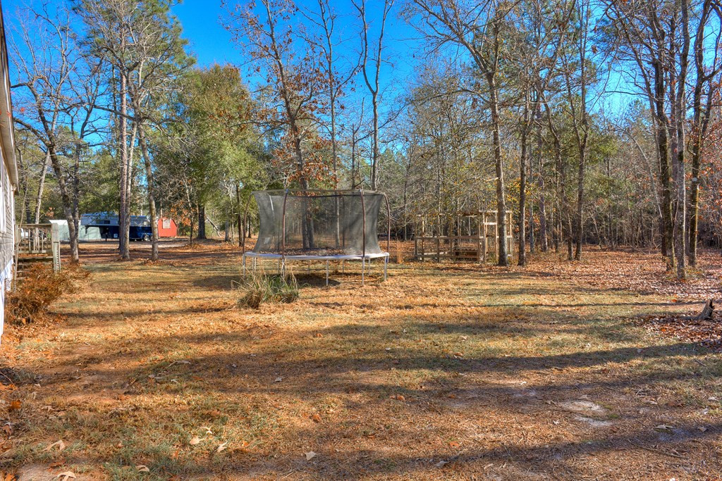 448 Long Cane Road Williston, SC 29853 - Photo 52 of 53
