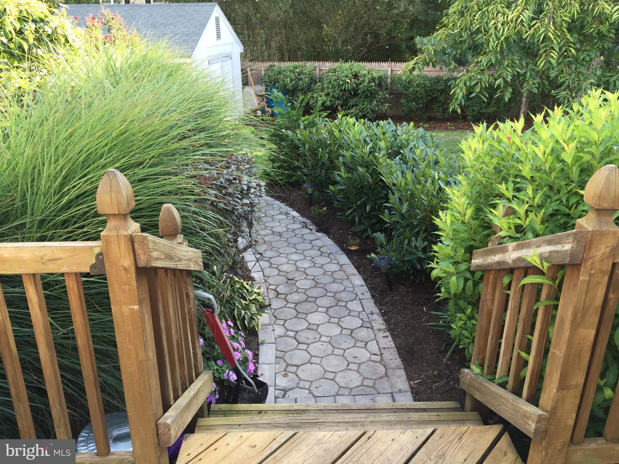 29 Wolfpack Road Hamilton, NJ 08619 - Photo 37 of 49 backyard walkway