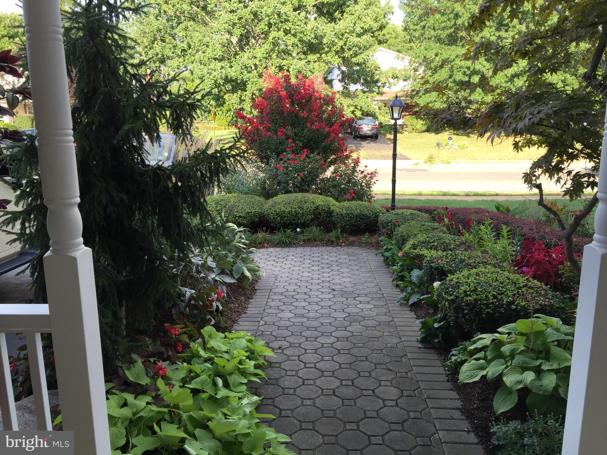 29 Wolfpack Road Hamilton, NJ 08619 - Photo 42 of 49 front walkway