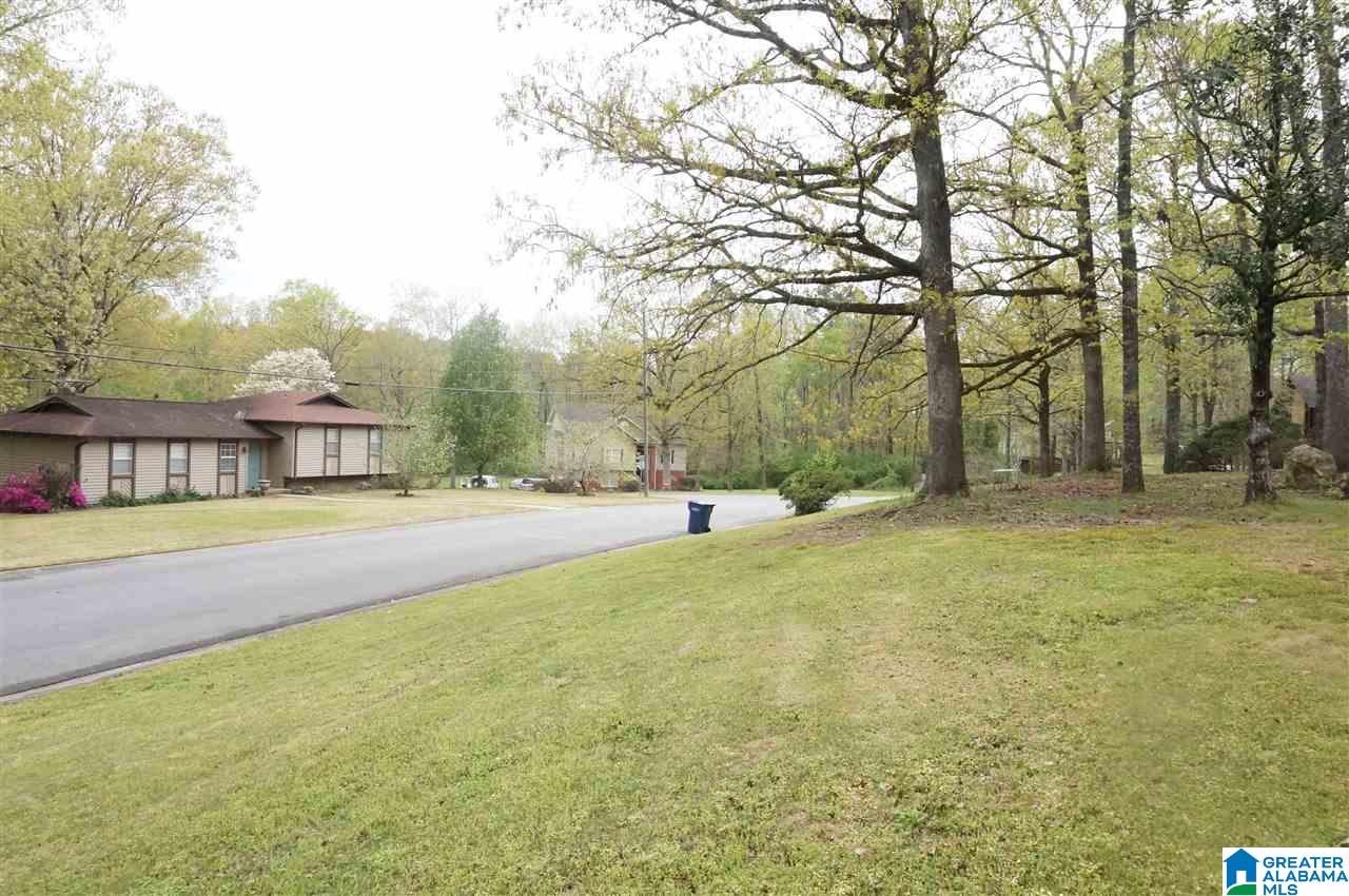 108 Old Spanish Trail Alabaster, AL 35007 - Photo 25 of 36