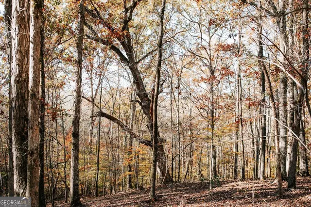 $110,000 | 0 Greensboro Road, Crawfordville, GA 30631