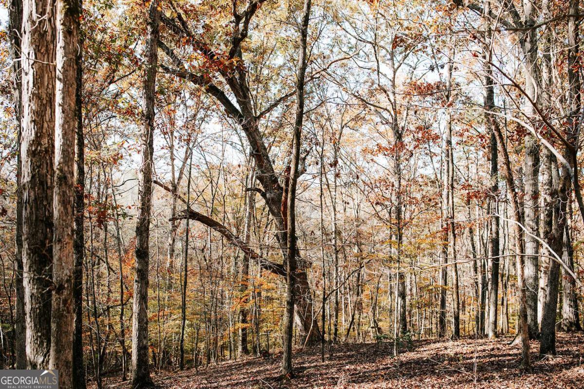 a view of a city with lots of trees
