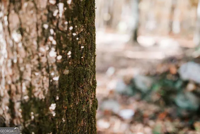 $110,000 | 0 Greensboro Road, Crawfordville, GA 30631