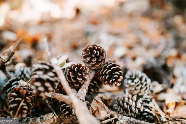 $110,000 | 0 Greensboro Road, Crawfordville, GA 30631