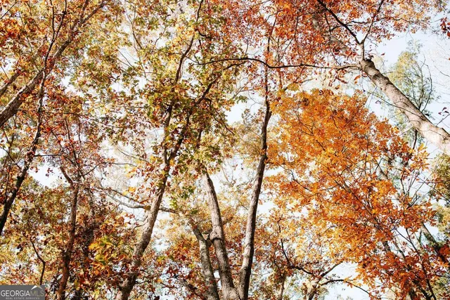 $110,000 | 0 Greensboro Road, Crawfordville, GA 30631