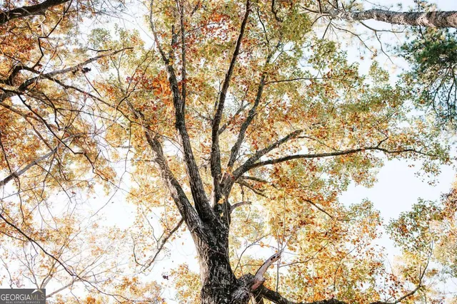 $110,000 | 0 Greensboro Road, Crawfordville, GA 30631