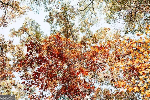 $110,000 | 0 Greensboro Road, Crawfordville, GA 30631