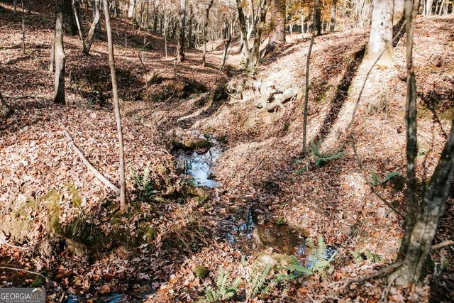 $110,000 | 0 Greensboro Road, Crawfordville, GA 30631