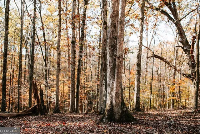 $110,000 | 0 Greensboro Road, Crawfordville, GA 30631