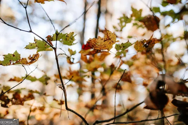 $110,000 | 0 Greensboro Road, Crawfordville, GA 30631