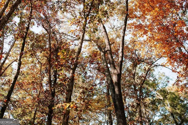 $110,000 | 0 Greensboro Road, Crawfordville, GA 30631