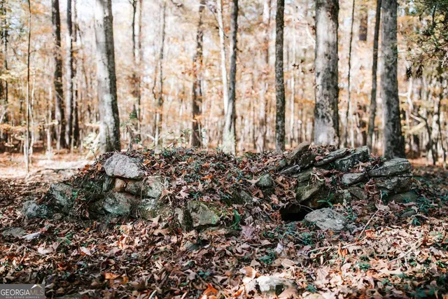 $110,000 | 0 Greensboro Road, Crawfordville, GA 30631